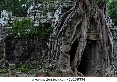 the hidden jungle temple ta som near angkor wat in siem reap,cambodia is one of the most fascinating places on planet earth.