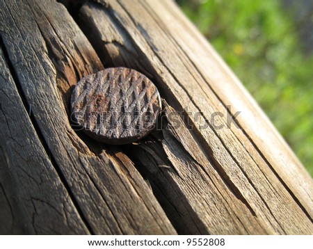 High resolution macro shot of a rusty nail in a piece of aged wood.