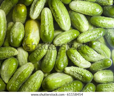 Cucumbers in water may be used as background