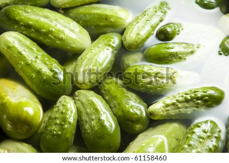Cucumbers in water may be used as background