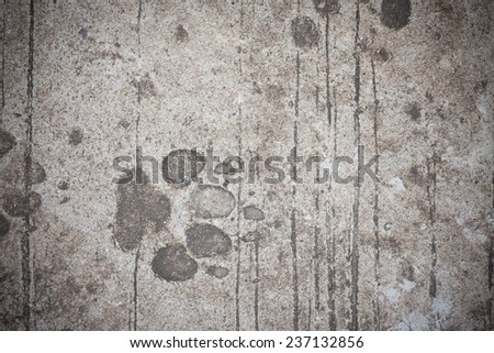 The dog \'s footprints on cement floor background