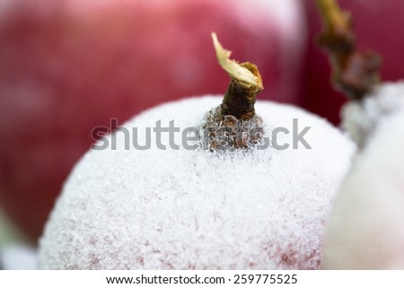 Frozen red grapes A white flake ice,