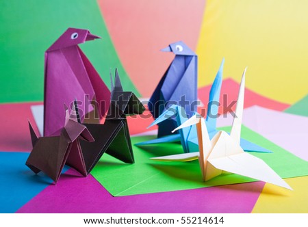 and animals against colour animals pictures to colour. and animals against colour