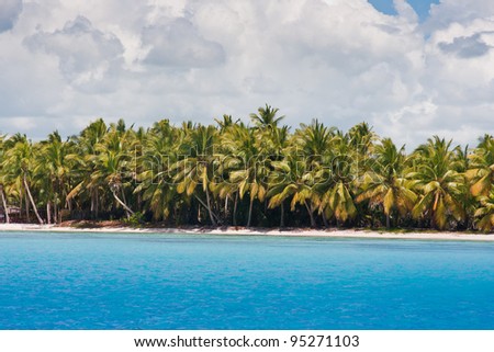 Palm trees grow on the bank of the tropical sea against the blue sky