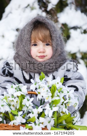 little girl in a down scarf, a fur coat and valenoks bears a big basket with snowdrops in the winter wood
