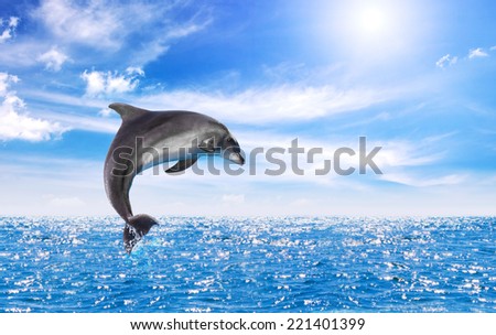one of jumping dolphins,beautiful seascape with deep ocean waters and cloudscape