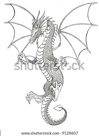 stock photo : Dragon Tattoo black and white