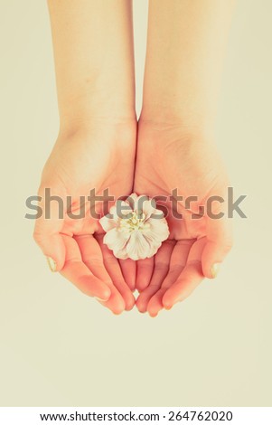 white flower in women\'s hands. studio shot