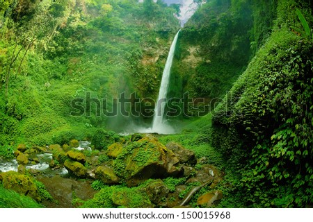 View of waterfall and greenish forest landscape. Taken at Rainbow Waterfall a.k.a. Coban Pelangi, Malang, east Java, Indonesia