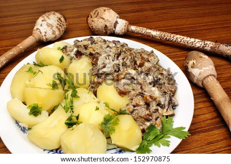 Parasol mushroom and mushroom sauce with potatoes