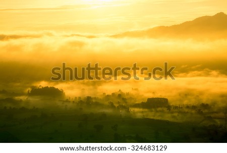 beautiful scenary in the north part of Thailand over the valley of mountain at sun rising giving a beautiful color on the mist in the field (selective focus, white balance shift and HDR effect apply)