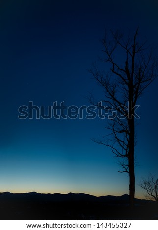 Deep blue sky. Sunset in North-America.