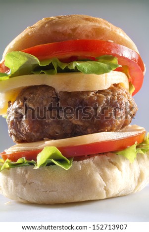 burger in homemade bread with cheese, onion, tomato and lettuce