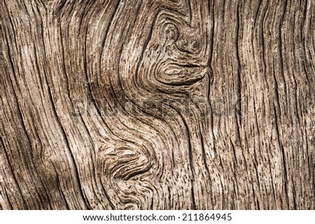 Grunge wood texture
