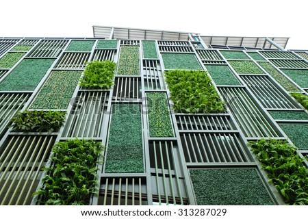 Green facade, vertical garden in architecture. Ecological building. Green architecture