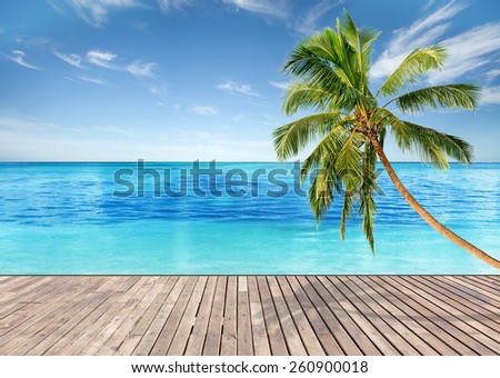 Tropical beach with empty wooden platform and bright blue sky and crystal clear waters