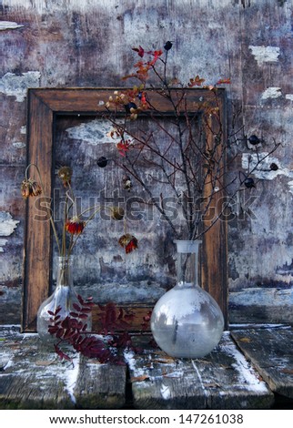 still life, snow, frost; freezing weather, stand, freeze