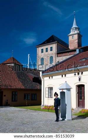 OSLO - JULY 16: His Majesty the King\'s Guard of the Akershus fortress. The Royal Guards guarding the Royal Palace in Oslo, Bygdoy Royal Estate, Skaugum and Akershus Fortress in Oslo. 16 July 2011.