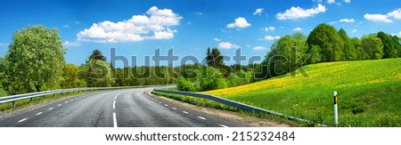 Asphalt road and dandelion field