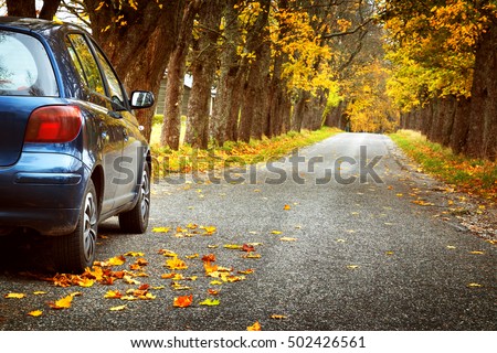Car on asphalt road on autumnr day at park