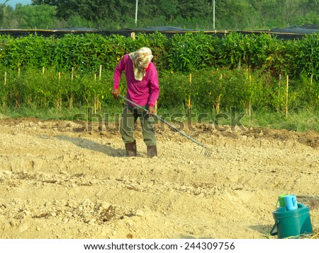 A man scarify the soil in plantation amidst the strong sunlight.