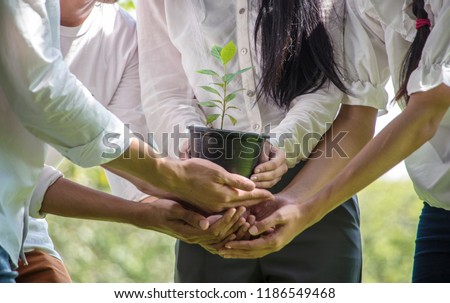 Group of People Hands Holding Cupping Plant Growth Nurture Environmental in park.CSR Corporate social responsibility concept