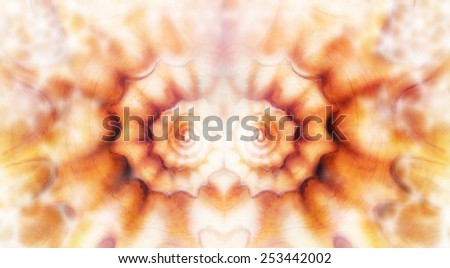 Marine sea shell illustration orange colour painting, mandale effect