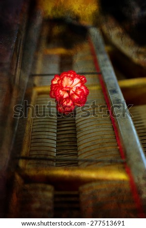 Flower on piano keys, vintage picture