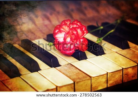 Flower on piano keys, vintage picture