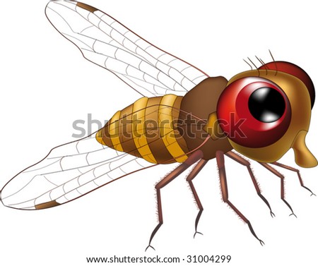 fly eyes cartoon