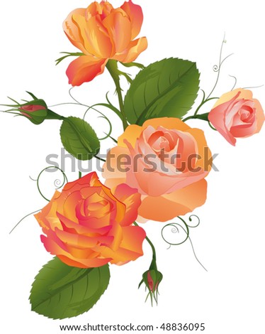 Bouquet Of Roses Stock Vector Illustration 48836095 : Shutterstock