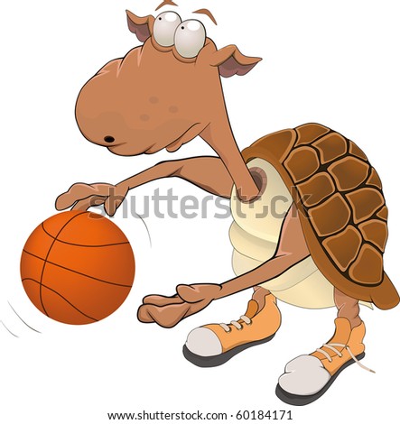 Basketball Turtle
