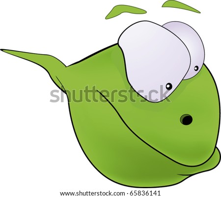 Tadpole Stock Vector Illustration 65836141 : Shutterstock