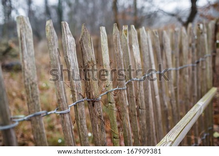 Old fence in the wood