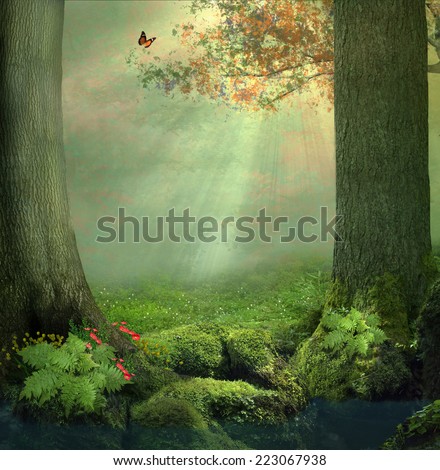 A pond and two big trees in the forest in a beautiful day with rays of lights between the leaves