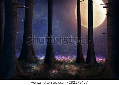 tall trees of a forest illuminated with a big full moon