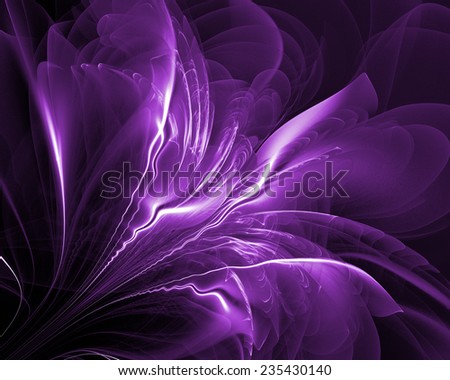 Fractal,violet petals