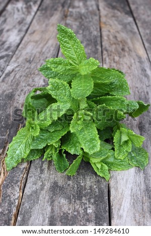 Bunch of mint on wooden background