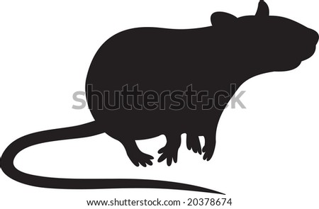 Rat Vector