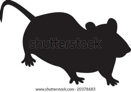 Rat Vector