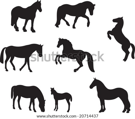 Horses Vector - 20714437 : Shutterstock