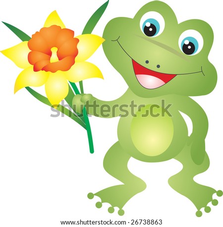 stock vector : frog vector