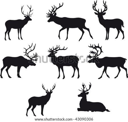 Deer vector Deer vector