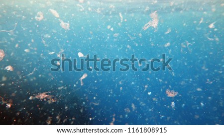 Detailed photography of  sea water contaminated by micro plastic. Environment pollution concept.