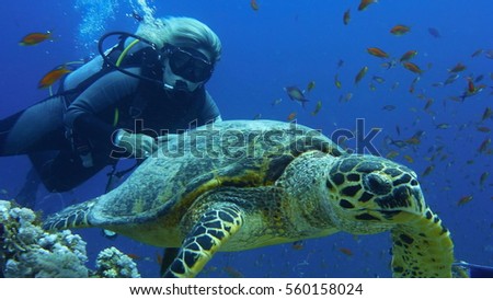 Scuba diver woman with sea turtle
