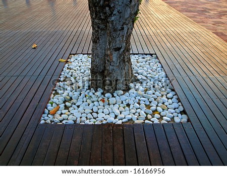 white smooth & rounded Pebbles scattered around base of Tree