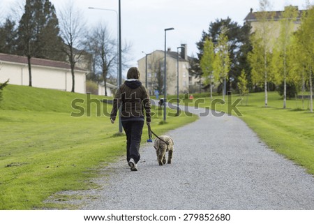 A woman walking the dog in the park in the summer.