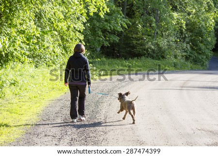 A woman walking the dog in the summer time on a lonely road. The dog is Italian waterdog also known as lagotto romagnolo.