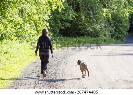 A woman walking the dog in the summer time on a lonely road. The dog is Italian waterdog also known as lagotto romagnolo.