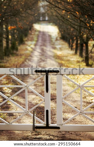 Gate closed. An image of a closed gate towards a long path with trees. Image also has a vintage effect.